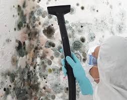 Best Mold Odor Removal Services  in Quincy, IL